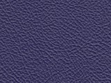 purple bronco